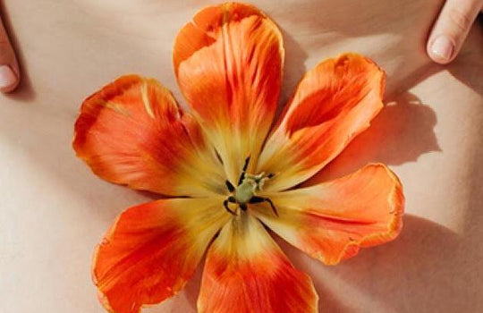 Ayurveda & The Menstrual Cycle: The Luteal Phase - Free Bleed™