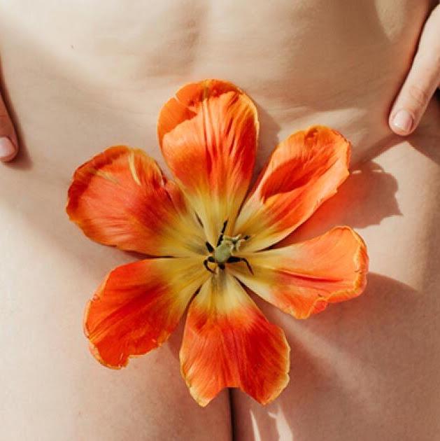 Ayurveda & The Menstrual Cycle: The Luteal Phase